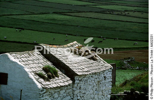 Maisons typiques dans le Mizen Head (Irlande). - © Philip Plisson / Plisson La Trinité / AA02331 - Nos reportages photos - Toit