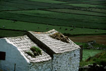 Maisons typiques dans le Mizen Head (Irlande). © Philip Plisson / Pêcheur d’Images / AA02331 - Nos reportages photos - Irlande, l'île verte
