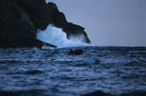 Vague sur rocher. © Philip Plisson / Plisson La Trinité / AA02347 - Photo Galleries - Fishing vessel