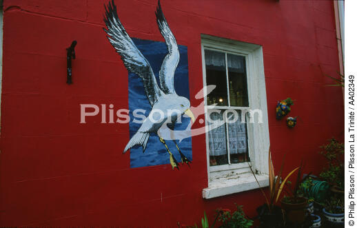 Peinture sur le mur d'une maison à Eyeries. - © Philip Plisson / Plisson La Trinité / AA02349 - Nos reportages photos - Irlande