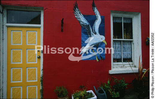 Peinture sur le mur d'une maison à Eyeries. - © Philip Plisson / Plisson La Trinité / AA02352 - Nos reportages photos - Faune