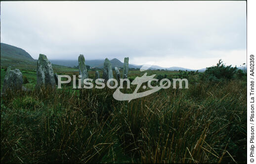 Mégalithes dans la campagne irlandaise. - © Philip Plisson / Plisson La Trinité / AA02359 - Photo Galleries - Field
