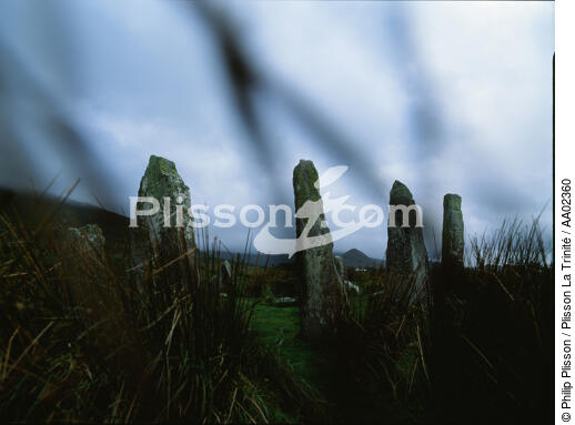 Mégalithes dans un paysage irlandais. - © Philip Plisson / Plisson La Trinité / AA02360 - Photo Galleries - Grey sky