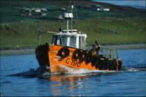 Pêcheur saluant. © Philip Plisson / Plisson La Trinité / AA02362 - Photo Galleries - Fishing vessel