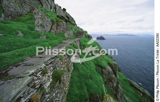 Skellig Michael en Irlande. - © Philip Plisson / Plisson La Trinité / AA02390 - Nos reportages photos - Pays étranger