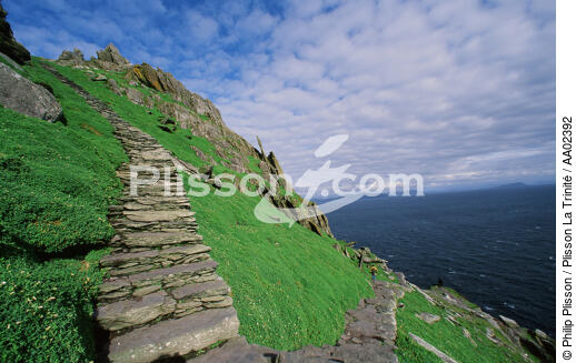 Skellig Michael en Irlande. - © Philip Plisson / Plisson La Trinité / AA02392 - Nos reportages photos - Ile [Irl]