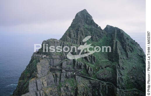 Skellig Michael en Irlande. - © Philip Plisson / Plisson La Trinité / AA02397 - Photo Galleries - Island [Ire]