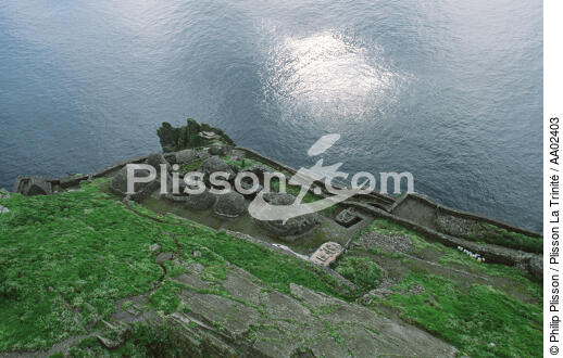 Skellig Michael en Irlande. - © Philip Plisson / Plisson La Trinité / AA02403 - Photo Galleries - Island [Ire]