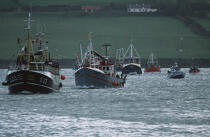 La flotte de pêche se retrouve dans Dingle Harbour pour la bénédiction de la mer. © Philip Plisson / Plisson La Trinité / AA02415 - Nos reportages photos - Irlande, l'île verte