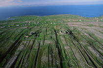 Inishmore, une des îles d'Aran © Philip Plisson / Plisson La Trinité / AA02445 - Nos reportages photos - Ile [Irl]