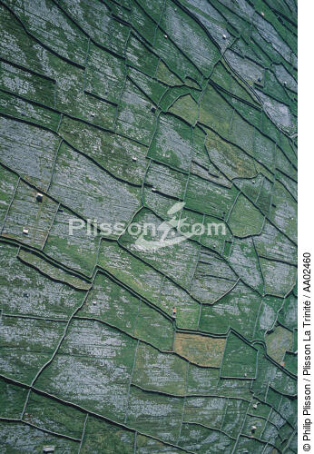 Inisheer et ses petits murets de pierres - © Philip Plisson / Plisson La Trinité / AA02460 - Nos reportages photos - Iles d'Aran [les]