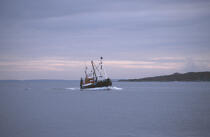 Bateau de pêche à Rossaveel. © Philip Plisson / Plisson La Trinité / AA02483 - Photo Galleries - Fishing vessel