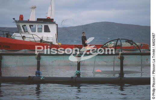 Pisiculteur à Kilkieran Bay. - © Philip Plisson / Plisson La Trinité / AA02487 - Nos reportages photos - Pisciculture