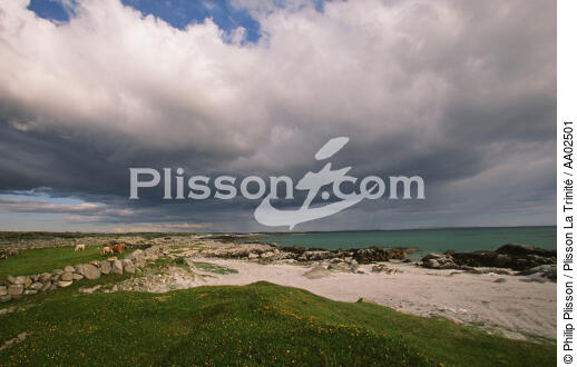 Paysage à Carna. - © Philip Plisson / Plisson La Trinité / AA02501 - Photo Galleries - Beach