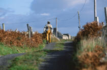 Marin sur une route irlandaise. © Philip Plisson / Plisson La Trinité / AA02517 - Photo Galleries - Ireland