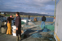 Pêcheur en Irlande. © Philip Plisson / Plisson La Trinité / AA02519 - Photo Galleries - Fishing nets