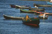 Pêcheur dans sa barque. © Philip Plisson / Plisson La Trinité / AA02520 - Photo Galleries - Ireland