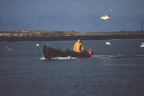 Pêcheur en Irlande. © Philip Plisson / Plisson La Trinité / AA02521 - Photo Galleries - Ireland