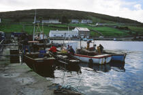 Pêcheurs à quai. © Philip Plisson / Plisson La Trinité / AA02523 - Photo Galleries - Ireland