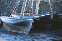 Curraghs à marée basse. © Philip Plisson / Plisson La Trinité / AA02526 - Photo Galleries - Traditional sailing