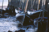 Curraghs à marée basse. © Philip Plisson / Plisson La Trinité / AA02527 - Nos reportages photos - Vieux gréement