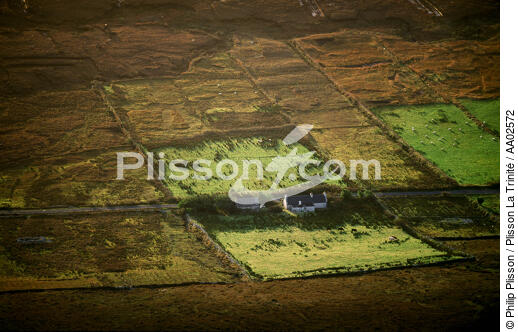 Paysage irlandais - © Philip Plisson / Plisson La Trinité / AA02572 - Nos reportages photos - Maison