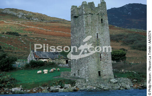 Tower in Achill Island. - © Philip Plisson / Plisson La Trinité / AA02574 - Photo Galleries - Mammal