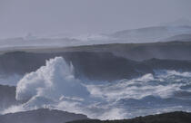 Coup de vent en Irlande.. © Philip Plisson / Plisson La Trinité / AA02584 - Nos reportages photos - Mer