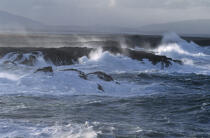 Coup de vent dans le comté de Mayo. © Philip Plisson / Plisson La Trinité / AA02585 - Nos reportages photos - Mer
