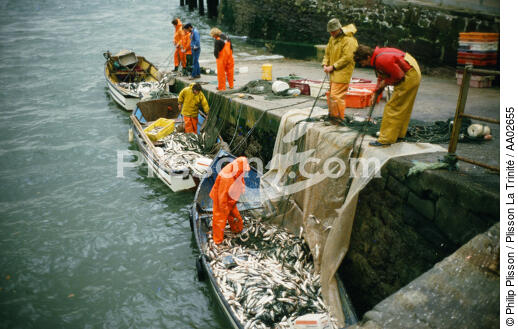 Retour de pêche. - © Philip Plisson / Plisson La Trinité / AA02655 - Nos reportages photos - Materiel de pêche