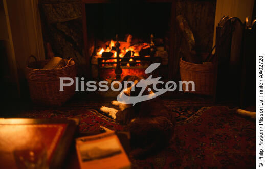 Chien devant un feu de cheminée. - © Philip Plisson / Plisson La Trinité / AA02720 - Photo Galleries - Pet