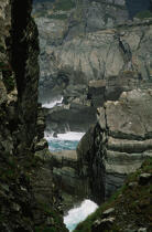 Bull Rock à Mizen Head. © Philip Plisson / Plisson La Trinité / AA02772 - Nos reportages photos - Falaise