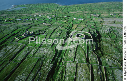 Inishmore. - © Philip Plisson / Plisson La Trinité / AA02773 - Nos reportages photos - Détails