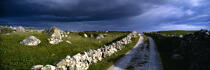 Route irlandaise. © Philip Plisson / Plisson La Trinité / AA02778 - Nos reportages photos - Irlande
