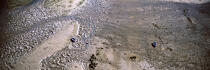 Barques à marée basse dans les sillages du Men Du (56) © Philip Plisson / Plisson La Trinité / AA02791 - Nos reportages photos - Panoramique horizontal