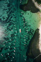 Archipel des Glénan. © Philip Plisson / Plisson La Trinité / AA02858 - Nos reportages photos - Terme marin