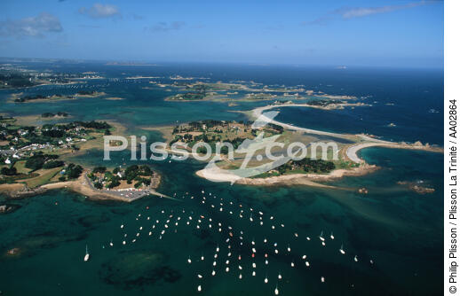 Buguélès. - © Philip Plisson / Plisson La Trinité / AA02864 - Nos reportages photos - Fond marin