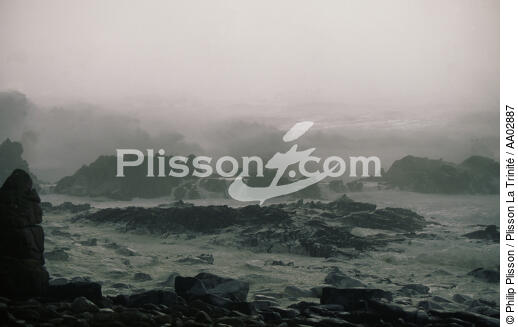 Gros temps sur la côte. - © Philip Plisson / Plisson La Trinité / AA02887 - Nos reportages photos - Tempêtes