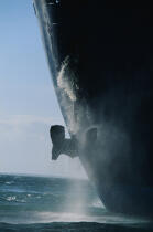 Le Norway jete l'ancre © Philip Plisson / Plisson La Trinité / AA02952 - Photo Galleries - Elements of boat