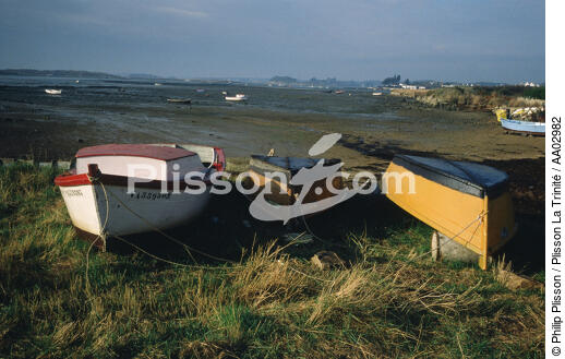 Plates au sec sur l'ile d'Yeu - © Philip Plisson / Plisson La Trinité / AA02982 - Photo Galleries - Small boat