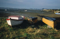 Plates au sec sur l'ile d'Yeu © Philip Plisson / Plisson La Trinité / AA02982 - Photo Galleries - Fishing vessel
