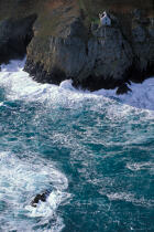 Ouessant, la pointe de Bac'haol © Philip Plisson / Plisson La Trinité / AA03093 - Photo Galleries - Iroise Sea [The]