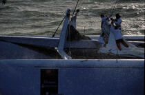 Manoeuvre à bord du catamaran Code One © Philip Plisson / Plisson La Trinité / AA03101 - Nos reportages photos - Multicoque de course