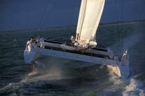 Catamaran Code One © Guillaume Plisson / Plisson La Trinité / AA03109 - Nos reportages photos - Multicoque de course