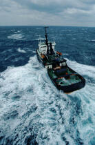 Le remorqueur l'Abeille Flandre © Philip Plisson / Plisson La Trinité / AA03136 - Nos reportages photos - Transport maritime
