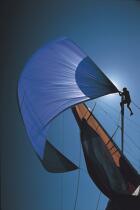 Contre jour sur spi bleu © Philip Plisson / Plisson La Trinité / AA03148 - Photo Galleries - Boat