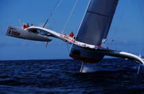 Grand Prix de la Trinité, La Trinitaine navigue à la maison © Guillaume Plisson / Plisson La Trinité / AA03185 - Photo Galleries - Sailing Race