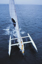 Sport Elec © Guillaume Plisson / Plisson La Trinité / AA03188 - Photo Galleries - Sailing Race