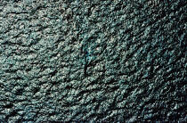 Monocoque à contre jour sur la mer © Philip Plisson / Plisson La Trinité / AA03201 - Photo Galleries - Backlit