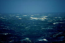 La mer est déchainée au large d'Ouessant © Philip Plisson / Plisson La Trinité / AA03202 - Photo Galleries - Finistère
